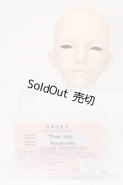 画像5: SWITCH/EUNJO Head S-25-11-16-077-TO-ZS