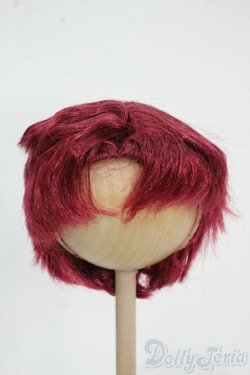 画像1: 8-9inch/ウィッグ Y-25-12-10-070-TO-ZY