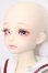 画像3: MYOU DOLL/1/4/櫻Delia 2019 ver. Limited S-25-11-16-053-TO-ZS (3)