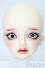 SD/フルチョイス:F-53ヘッド S-25-11-16-073-TO-ZS