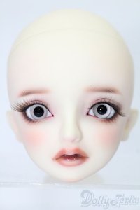 SD/フルチョイス:F-53ヘッド S-25-11-16-073-TO-ZS