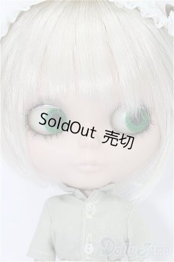 画像2: ネオフ゛ライス/カスタム本体 S-25-11-16-211-YB-ZS