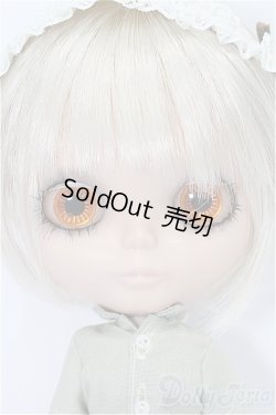 画像3: ネオフ゛ライス/カスタム本体 S-25-11-16-211-YB-ZS