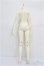 画像2: Gem of Doll/1/3 Girl Body S-25-11-16-154-TO-ZS (2)