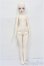 画像5: MYOUDOLL/Zuzana S-25-11-16-152-TO-ZS (5)