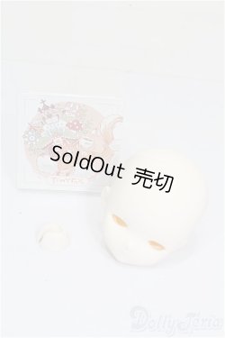 画像4: TinyFox/1/4 D-09ヘッド S-26-03-22-454-TO-ZS