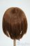 画像2: 8-9inch/ウィッグ Y-25-12-10-085-TO-ZY (2)