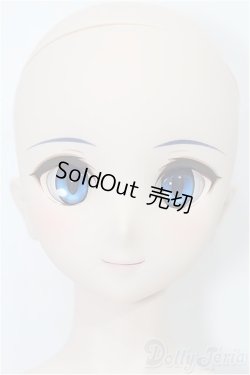 画像2: DD/シエル　月姫 -A piece of blue glass moon- S-25-11-23-051-TO-ZS