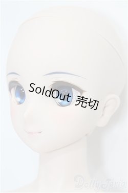 画像3: DD/シエル　月姫 -A piece of blue glass moon- S-25-11-23-051-TO-ZS