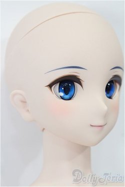 画像4: DD/シエル　月姫 -A piece of blue glass moon- S-25-11-23-051-TO-ZS