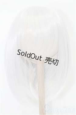 画像1: 8-9inch/ウィッグ：FANTASTIC WORLD様製 S-25-11-23-249-TO-ZS