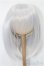 画像1: 8-9inch/ウィッグ：FANTASTIC WORLD様製 S-25-11-23-249-TO-ZS (1)