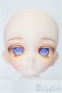 DD/DDH-10:カスタムヘッド S-25-11-23-058-TO-ZS