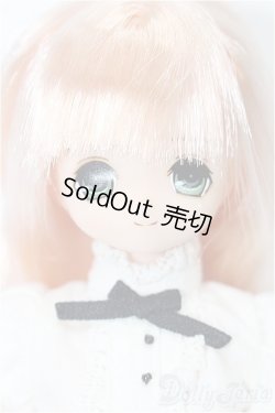 画像1: azone/えっくす☆きゅーと：魔女っ子せら S-25-11-23-159-TO-ZS