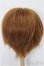 画像2: 9-10inch/ウィッグ S-25-11-30-130-YB-ZS (2)