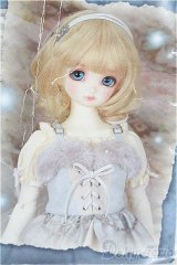 SDM＆MSD/OF:ドレス S-25-12-28-316-YB-ZS