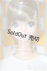 キャッスル/たまき 2022年5月DS66モデル(モデルNo.12756) S-25-11-30-155-TO-ZS