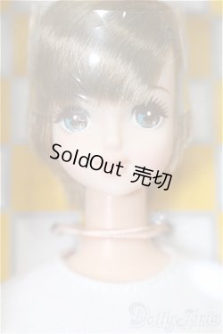 画像1: キャッスル/たまき 2022年5月DS66モデル(モデルNo.12756) S-25-11-30-155-TO-ZS