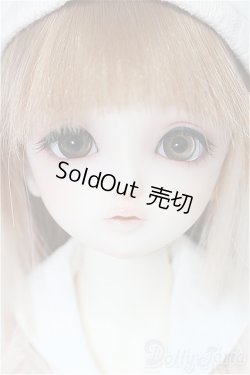 画像2: SDM女の子/ちよ:10周年記念Ver. S-25-11-30-051-TO-ZS