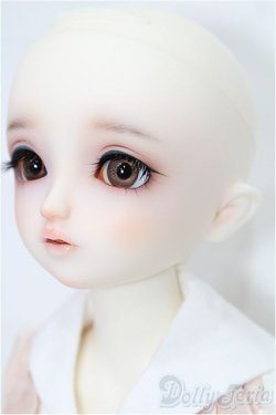 画像4: SDM女の子/ちよ:10周年記念Ver. S-25-11-30-051-TO-ZS