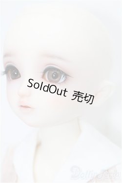 画像4: SDM女の子/ちよ:10周年記念Ver. S-25-11-30-051-TO-ZS