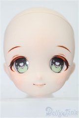 DD/DDH-22 カスタムヘッド S-25-11-30-193-TO-ZS