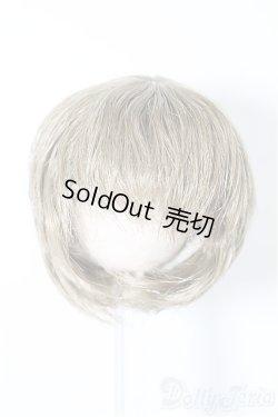 画像1: 5inch/ウィッグ S-25-11-30-281-TO-ZS