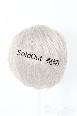 画像2: 5inch/ウィッグ S-25-11-30-281-TO-ZS