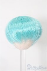 4inch/ウィッグ S-25-11-30-287-TO-ZS