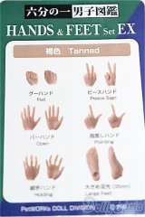 六分の一男子図鑑/OF:小物 S-25-12-07-099-TO-ZS