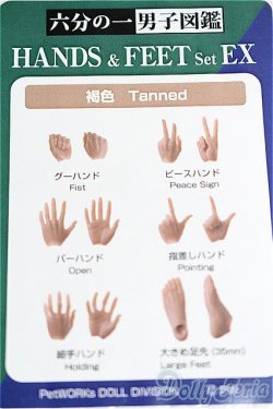 画像1: 六分の一男子図鑑/OF:小物 S-25-12-07-099-TO-ZS