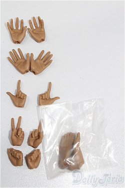 画像2: 六分の一男子図鑑/OF:小物 S-25-12-07-099-TO-ZS