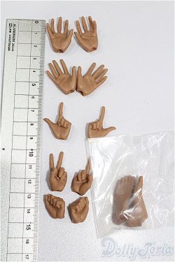 画像3: 六分の一男子図鑑/OF:小物 S-25-12-07-099-TO-ZS