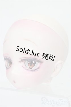 画像5: DD/DDH-29 カスタムヘッド(SSRdolly様製) S-25-12-14-251-TO-ZS