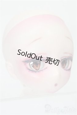 画像6: DD/DDH-29 カスタムヘッド(SSRdolly様製) S-25-12-14-251-TO-ZS