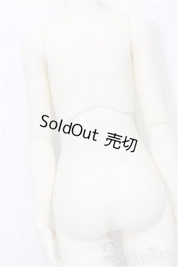 画像3: tinyfox 1/4　ボディ S-25-12-14-070-TO-ZS