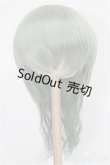 8-9inch/ウィッグ S-25-12-14-122-TO-ZS