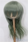 8-9inch/ウィッグ S-25-12-14-120-TO-ZS