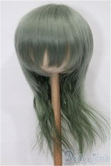 8-9inch/ウィッグ S-25-12-14-120-TO-ZS