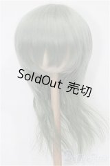 8-9inch/ウィッグ S-25-12-14-120-TO-ZS