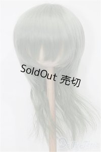 8-9inch/ウィッグ S-25-12-14-120-TO-ZS