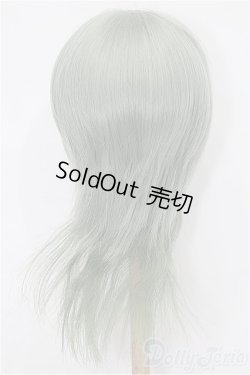 画像2: 8-9inch/ウィッグ S-25-12-14-120-TO-ZS