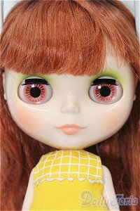 ネオブライス/サラシェイズ S-25-12-14-061-TO-ZS