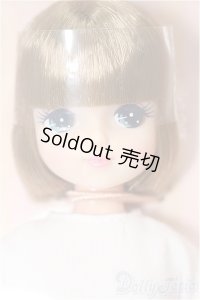 キャッスル/きらちゃん 2020年S/キャッスルコレクション(モデルNo.12164) S-25-12-14-211-TO-ZS