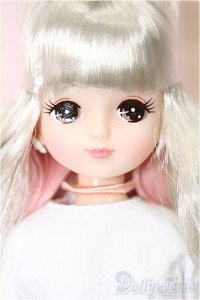 キャッスル/きらちゃん 2022年神戸三宮BASICモデル S-25-12-14-215-TO-ZS