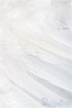 画像3: プーリップ/OF:小物 S-25-12-14-186-TO-ZS