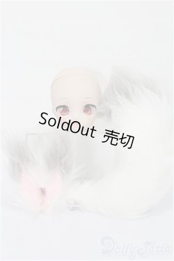 画像1: DD/DC-H-30ヘッド S-25-12-21-139-TO-ZS