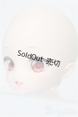 画像3: DD/DC-H-30ヘッド S-25-12-21-139-TO-ZS