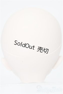 画像5: DD/DC-H-30ヘッド S-25-12-21-139-TO-ZS