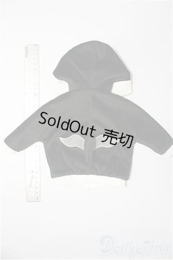 画像2: SDM＆MSD/OF:パーカー S-25-12-21-261-YB-ZS